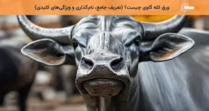 ورق کله گاوی چیست؟ (تعریف جامع، نام‌گذاری و ویژگی‌های کلیدی)